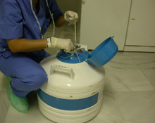 Tratamiento de congelación de semen en CERAM - Centro de Reproduccion Asistida de Marbella. Clínicas de reproducción asistida, Donación de ovulos, Tratamientos de fertilidad Tratamiento de congelación de semen en CERAM - Centro de Reproduccion Asistida de Marbella. Clínicas de reproducción asistida, Donación de ovulos, Tratamientos de fertilidad